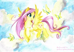 Size: 1200x840 | Tagged: animal, artist:paulina-ap, butterfly, cloud, cloudy, derpibooru import, fluttershy, flying, safe, solo, traditional art