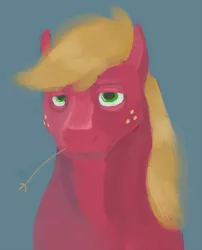 Size: 1000x1238 | Tagged: safe, artist:sb, derpibooru import, big macintosh, earth pony, pony, bust, full face view, male, portrait, simple background, solo, stallion