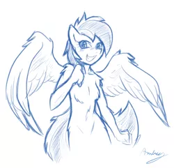 Size: 900x869 | Tagged: anthro, artist:ambris, belly button, belly fluff, breasts, chest fluff, delicious flat chest, derpibooru import, featureless breasts, female, fluffy, fuzzy breasts, monochrome, nudity, rainbow dash, rainbow flat, safe, simple background, small breasts, solo, white background