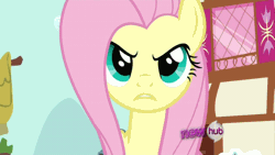 Size: 720x405 | Tagged: all new, animated, cut in line i'll take what's mine, derpibooru import, flutterbitch, flutterrage, fluttershy, hub logo, putting your hoof down, safe, screencap, text