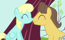 Size: 798x494 | Tagged: animated, boop, caraflash, caramel, cropped, derpibooru import, edit, edited screencap, eyes closed, female, hearts and hooves day, hearts and hooves day (episode), loop, male, noseboop, nose wrinkle, nuzzling, safe, sassaflash, screencap, shipping, straight