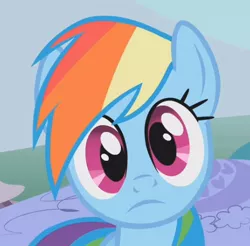 Size: 470x462 | Tagged: safe, derpibooru import, screencap, rainbow dash, pegasus, pony, dragonshy, breaking the fourth wall, cropped, cute, dashabetes, female, frown, looking at you, mare, reaction image, solo, stare, wide eyes