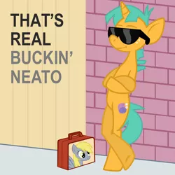 Size: 3000x3000 | Tagged: safe, artist:the smiling pony, derpibooru import, derpy hooves, snails, pegasus, pony, unicorn, bipedal, bipedal leaning, brick wall, colt, female, high res, inkscape, leaning, male, mare, neato, reaction image, smiling, solo, sunglasses, vector