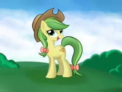 Size: 1600x1200 | Tagged: dead source, safe, artist:grumblepluck, derpibooru import, apple fritter, earth pony, pony, apple family member, cowboy hat, female, hat, mare, open mouth, smiling, solo