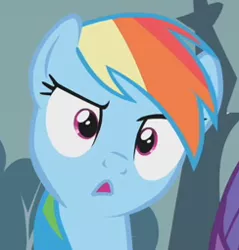 Size: 244x255 | Tagged: safe, derpibooru import, screencap, rainbow dash, pegasus, pony, swarm of the century, :o, confused, cropped, cute, dashabetes, female, mare, open mouth, raised eyebrow, reaction image, solo, stare