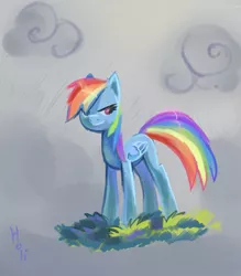 Size: 2011x2299 | Tagged: safe, artist:holivi, derpibooru import, rainbow dash, pegasus, pony, female, high res, mare, rain, solo