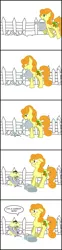 Size: 678x2718 | Tagged: dead source, safe, artist:lou3797, derpibooru import, carrot top, derpy hooves, golden harvest, earth pony, pegasus, pony, comic, duo, duo female, female, mare, paint.net, simple background, surprised, white background