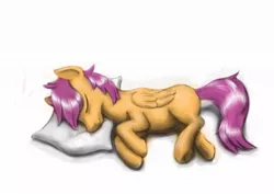 Size: 1023x723 | Tagged: safe, artist:steamroller988, derpibooru import, scootaloo, pegasus, pony, female, filly, pillow, simple background, sleeping, solo