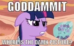 Size: 400x250 | Tagged: safe, derpibooru import, edit, edited screencap, screencap, twilight sparkle, pony, unicorn, book, bust, female, floppy ears, flower, frown, golden oaks library, gritted teeth, image macro, mare, meme, picture, portrait, solo, twilight is not amused, vulgar