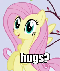 Size: 269x321 | Tagged: safe, derpibooru import, edit, edited screencap, screencap, fluttershy, bird, pegasus, pony, friendship is magic, bronybait, cropped, female, hug, hug request, image macro, looking at you, mare, meme, reaction image, solo, songbird