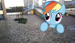Size: 900x518 | Tagged: safe, artist:nerd-pony, derpibooru import, rainbow dash, pegasus, pony, female, irl, mare, outdoors, photo, ponies in real life, solo, vector