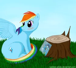 Size: 640x574 | Tagged: safe, artist:el-yeguero, artist:ryedeer-photo, derpibooru import, rainbow dash, soarin', pegasus, pony, blushing, female, looking back, male, mare, shipping, sitting, soarindash, straight, tree stump