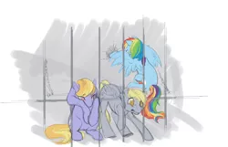 Size: 750x482 | Tagged: safe, artist:noel, derpibooru import, cloud kicker, derpy hooves, rainbow dash, pegasus, pony, female, mare, prison