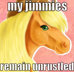 Size: 829x800 | Tagged: artist needed, safe, derpibooru import, applejack, earth pony, horse, pony, abstract background, female, image macro, jimmies, mare, meme, realistic, solo