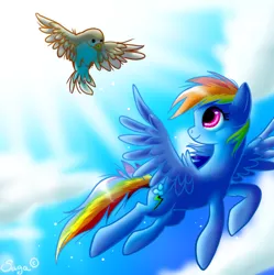 Size: 498x500 | Tagged: dead source, safe, artist:haunthid, derpibooru import, rainbow dash, bird, pegasus, pony, cloud, cloudy, female, flying, looking back, mare, sky, solo, spread wings, wings