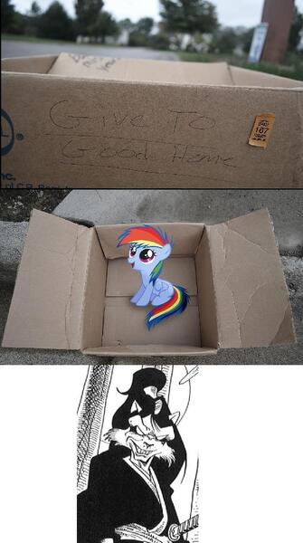 Size: 832x1492 | Tagged: safe, derpibooru import, rainbow dash, pegasus, pony, fanfic:my little dashie, box, dashie meme, evil people finding dash meme, exploitable meme, female, filly, jei, meme, pony in a box, usagi yojimbo