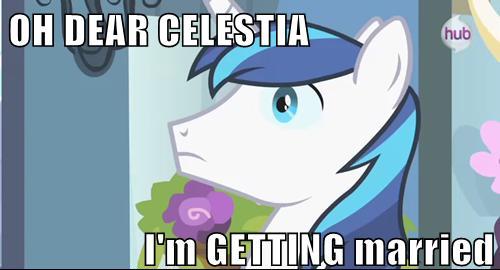 Size: 500x270 | Tagged: safe, derpibooru import, edit, edited screencap, screencap, shining armor, pony, unicorn, hub logo, image macro, male, meme, solo, stallion