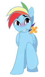 Size: 1477x2513 | Tagged: safe, artist:wicklesmack, derpibooru import, rainbow dash, pegasus, pony, blitzabetes, blushing, cute, dashabetes, flower, flower in mouth, grin, lip bite, male, mouth, mouth hold, one hoof raised, rainbow blitz, raised hoof, rule 63, rule63betes, sideways glance, simple background, smiling, solo, squee, stallion, transparent background