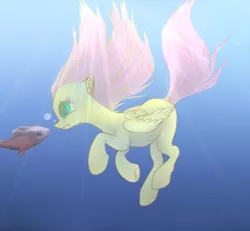 Size: 650x600 | Tagged: safe, artist:redfox-leap, derpibooru import, fluttershy, fish, pegasus, pony, crepuscular rays, female, holding breath, mare, solo, underwater, watershy