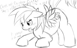 Size: 1518x958 | Tagged: suggestive, artist:sweethd, derpibooru import, rainbow dash, pegasus, pony, blushing, dialogue, female, femsub, floppy ears, mare, monochrome, presenting, simple background, sketch, solo, solo female, submissive, tongue out, white background
