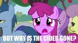 Size: 640x354 | Tagged: safe, derpibooru import, edit, edited screencap, screencap, amethyst star, berry punch, berryshine, blues, noteworthy, parasol, earth pony, pegasus, pony, unicorn, the super speedy cider squeezy 6000, female, image macro, male, mare, meme, pirates of the caribbean, stallion, why is the rum gone