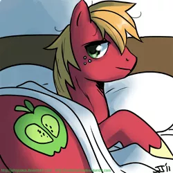 Size: 900x900 | Tagged: safe, artist:johnjoseco, derpibooru import, big macintosh, earth pony, pony, adobe imageready, bed, looking at you, male, missing accessory, morning ponies, pillow, solo, stallion