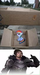 Size: 829x1543 | Tagged: safe, derpibooru import, rainbow dash, pegasus, pony, fanfic:my little dashie, dashie meme, evil people finding dash meme, exploitable meme, female, filly, male, meme, nobunaga oda, obligatory pony, samurai warriors