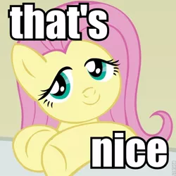 Size: 600x600 | Tagged: safe, artist:megasweet, derpibooru import, fluttershy, pegasus, pony, bust, female, image macro, lidded eyes, looking at you, mare, meme, ponified reaction image, reaction image, smiling, solo, text, that's nice