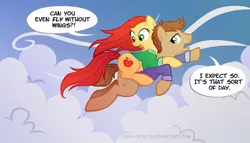 Size: 755x432 | Tagged: safe, artist:lissystrata, derpibooru import, ponified, earth pony, pony, amy pond, cloud, cloudy, crossover, dialogue, doctor who, duo, female, flying, male, mare, photoshop, rory williams, signature, sky, stallion