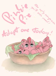 Size: 1920x2600 | Tagged: dead source, safe, artist:fruitbloodmilkshake, derpibooru import, pinkie pie, earth pony, pony, adoption, basket, biting, bronybait, cute, diapinkes, female, filly, foal, multeity, pet, pony in a basket, solo, tail bite, text, too much pink energy is dangerous, younger