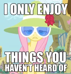 Size: 500x517 | Tagged: safe, derpibooru import, edit, edited screencap, screencap, fluttershy, pegasus, pony, green isn't your color, female, glasses, hat, hilarious in hindsight, hipster, hipstershy, image macro, mare, meme, solo, text