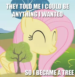 Size: 694x711 | Tagged: safe, artist:chrisboe4ever, derpibooru import, fluttershy, pegasus, pony, female, fluttertree, image macro, leafing the dream, mare, meme, solo, text, tree