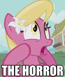 Size: 431x509 | Tagged: safe, derpibooru import, edit, edited screencap, screencap, lily, lily valley, earth pony, pony, applebuck season, background pony, dialogue, female, flower, flower in hair, image macro, lily (flower), mare, meme, open mouth, reaction image, solo, text, the horror