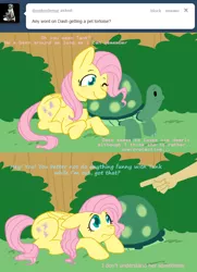 Size: 630x871 | Tagged: safe, artist:cartoonlion, derpibooru import, fluttershy, rainbow dash, tank, oc, oc:futashy, pegasus, pony, ask futashy, futaverse, ask, collar, futa, futa fluttershy, humanized, intersex, nuzzling, prone, scolding