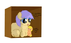 Size: 2730x1658 | Tagged: abandoned, artist:awildfantasy, box, crying, derpibooru import, fluffy pony, fluffy pony foal, fluffy pony mother, fluffy pony original art, safe, simple background, transparent background