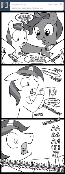 Size: 600x1600 | Tagged: safe, artist:madmax, derpibooru import, night light, shining armor, twilight sparkle, twilight velvet, pony, unicorn, madmax silly comic shop, birth, black and white, camera, colt, comic, female, grayscale, labor, male, mare, monochrome, pregnant, scarred for life, screaming, stallion, traumatized, tumblr, younger