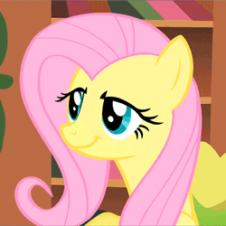 Size: 361x361 | Tagged: safe, derpibooru import, edit, edited screencap, screencap, fluttershy, pegasus, pony, a bird in the hoof, always works, animated, artifact, bad poker face, book, bookcase, bookshelf, breaking the fourth wall, cropped, cute, dialogue, dreamworks face, exclamation point, faic, female, first edited screencap on derpibooru, gif, grin, image macro, looking at you, mare, meme, one of the first, raised eyebrow, second image macro on derpibooru, shyabetes, smiling, smirk, solo, surprised, talking, text