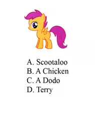 Size: 516x681 | Tagged: safe, derpibooru import, scootaloo, chicken, pegasus, pony, female, filly, meta, scootachicken, simple background, solo, terry, white background