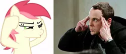 Size: 788x339 | Tagged: safe, derpibooru import, roseluck, earth pony, human, pony, comparison, crossover, female, irl, irl human, male, mare, photo, sheldon cooper, the big bang theory