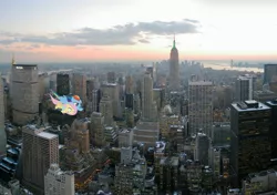 Size: 3328x2337 | Tagged: artist needed, safe, derpibooru import, fluttershy, rainbow dash, pegasus, pony, duo, female, flying, high res, irl, manehattan, manhattan, mare, new york city, photo, ponies in real life, vector