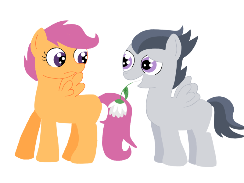 Size: 2048x1536 | Tagged: safe, artist:schwarzekatze4, derpibooru import, rumble, scootaloo, pegasus, pony, colt, female, filly, flower, flower in mouth, male, mouth hold, rumbloo, shipping, simple background, straight, transparent background