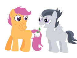 Size: 2048x1536 | Tagged: safe, artist:schwarzekatze4, derpibooru import, rumble, scootaloo, pegasus, pony, colt, female, filly, flower, flower in mouth, male, mouth hold, rumbloo, shipping, simple background, straight, transparent background