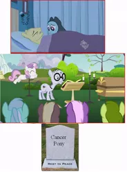 Size: 650x884 | Tagged: safe, derpibooru import, edit, edited screencap, screencap, coco crusoe, fuzzy slippers (character), lyra heartstrings, mr. waddle, oakey doke, rainbow dash, sweetie belle, welch, earth pony, pony, unicorn, hearts and hooves day (episode), read it and weep, background pony, cancer (disease), cancer pony, clerical collar, coffin, death, elderly, female, filly, fridge horror, funeral, glasses, grave, hub logo, image macro, liver spots, male, mare, meme, stallion, the implications are horrible, unfortunate implications, we are going to hell