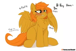 Size: 4000x2700 | Tagged: safe, artist:rileyisherehide, paywalled source, oc, oc:camber, unofficial characters only, pegasus, behaving like a bird, blushing, chest fluff, lip bite, patreon, patreon link, patreon logo, peacocking, sitting, sweat, unreleased