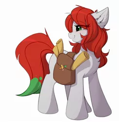 Size: 2458x2516 | Tagged: safe, artist:rileyisherehide, derpibooru import, oc, oc:palette swap, unofficial characters only, earth pony, pony, bag, female, image, jpeg, mare, saddle bag, scroll, simple background, smiling, solo, standing, white background
