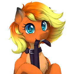 Size: 2000x2000 | Tagged: safe, artist:evomanaphy, edit, editor:v3ga, unauthorized edit, oc, oc:firefox, ponified, unofficial characters only, earth pony, pony, /mlp/, browser ponies, collar, cute, female, leash, mare, simple background, solo, transparent background