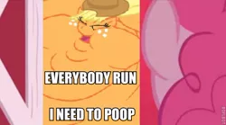 Size: 619x343 | Tagged: safe, banned from derpibooru, deleted from derpibooru, derpibooru import, edit, applejack, pinkie pie, party of one, barn, blob, caption, family guy, fat, image macro, lordryu fat edit, morbidly obese, obese, text