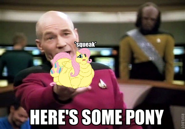 Size: 600x420 | Tagged: safe, banned from derpibooru, deleted from derpibooru, derpibooru import, edit, fluttershy, captain picard, caption, fat, fattershy, image macro, lordryu fat edit, meme, morbidly obese, obese, star trek, text