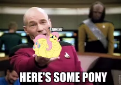 Size: 600x420 | Tagged: safe, banned from derpibooru, deleted from derpibooru, derpibooru import, edit, fluttershy, captain picard, caption, fat, fattershy, image macro, lordryu fat edit, meme, morbidly obese, obese, star trek, text