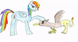 Size: 900x483 | Tagged: safe, artist:wesdaaman, banned from derpibooru, deleted from derpibooru, derpibooru import, rainbow dash, griffy the griffin